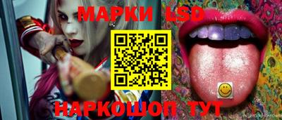ECSTASY Обь