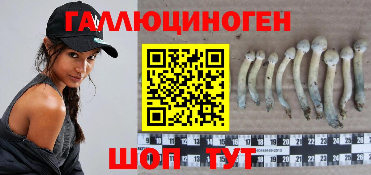 Галлюциногенные грибы мухоморы Владимир